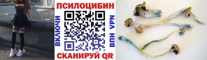 Галлюциногенные грибы Magic Shrooms  нарко площадка как зайти  Богородицк 